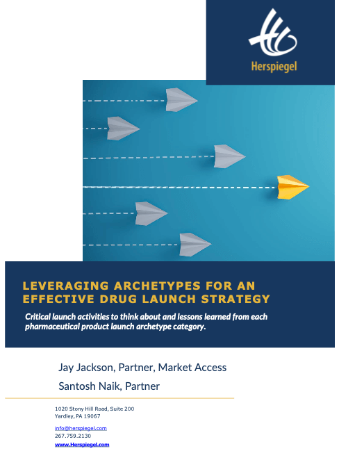 Leveraging Archetypes for an Effective Drug Launch Strategy